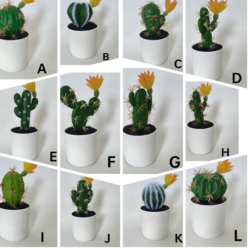 [KODE 77]  COD KAKTUS MINI KAKTUS PAJANGAN BUNGA KAKTUS TANAMAN SUKULEN TANAMAN HIAS KAKTUS HIAS BUN