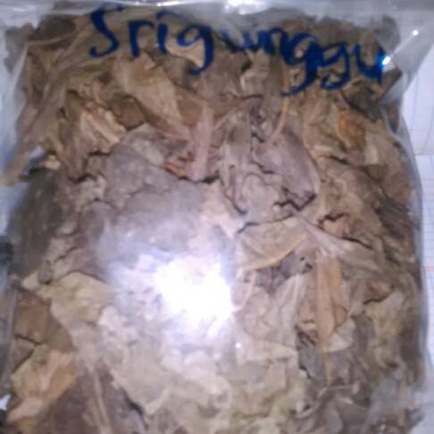 

TERBAIK DAUN SRIGUNGGU KERING HERBAL-250 GRAM