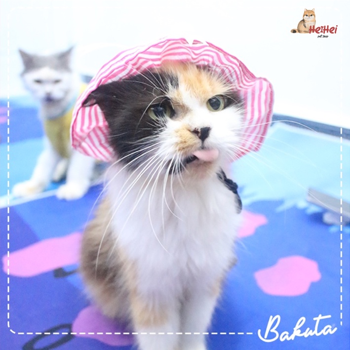 Topi Kucing Anjing Lucu Bakuta Tropical Hat Adult Kitten Betina - Cat Kitten Dog Hat - Pets Hat - Puppy Female Hat