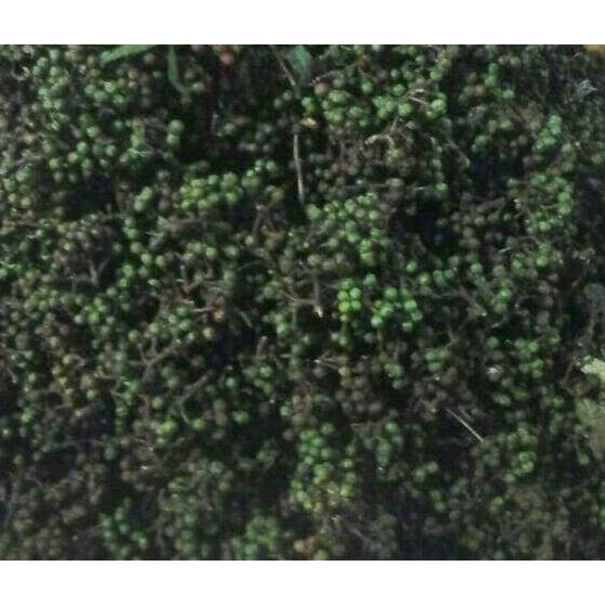 

Andaliman 250 gram TERLARIS