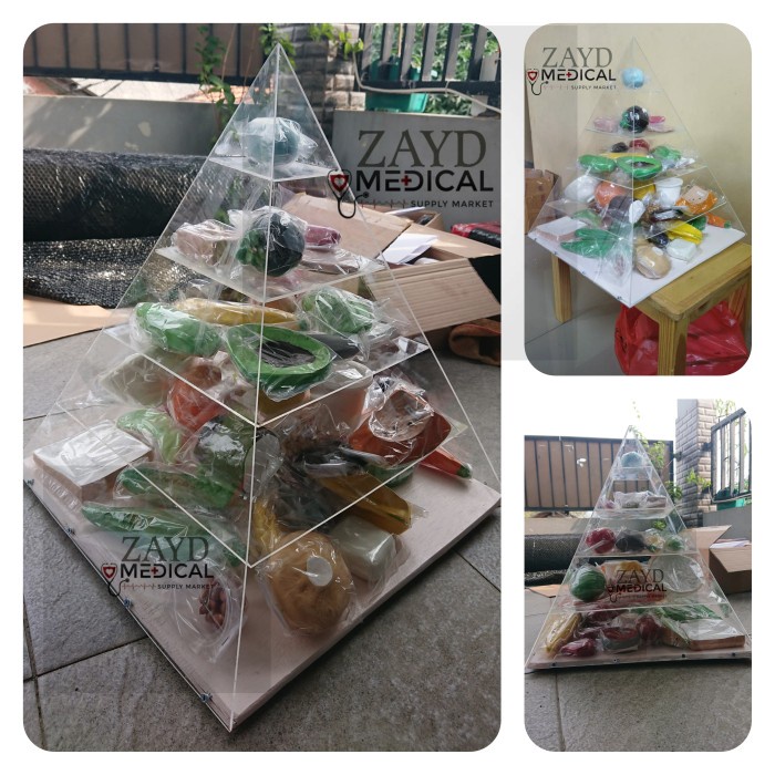 Terlaris Food Model Piramida/ Manikin Food Model Piramida