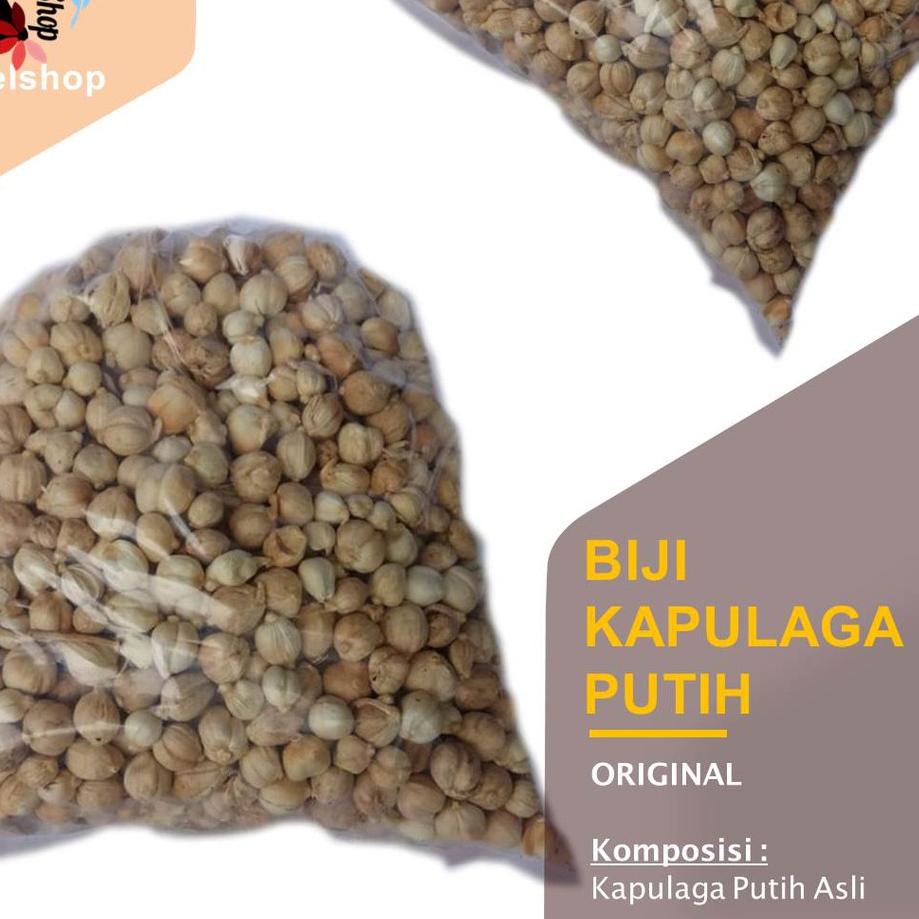 

➥ Biji Kapulaga Putih 250 g, 500, 1 kg / Kapol ☻