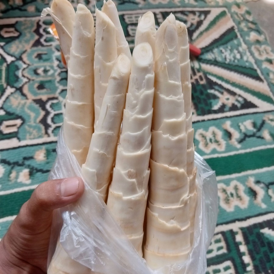 

Bamboo Shoots Bambu Cina Rebung Bambu Jepang rebung bambu sayur rebung bambu muda1kg Rebung