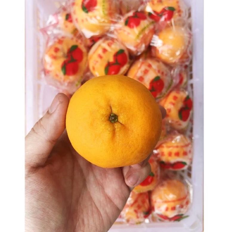 

a8❋#Sale BUAH JERUK MANDARIN PONKAM PREMIUM JERUK KUPAS IMPORT IMPOR 500gr [HARVEST LINE] R41