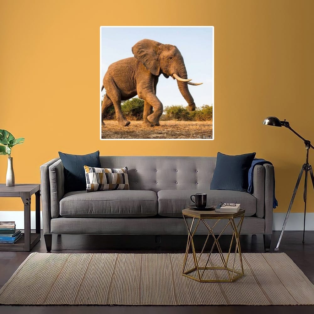 LUKISAN POSTER CETAK GAMBAR  GAJAH JUMBO 01 TERLARIS SEINDONESIA HIASAN DINDING RUANG TAMU KAMAR DAP