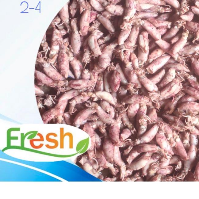 

™ CUMI ASIN 500 GRAM BABY CUMI ASIN 500 GRAM ♘