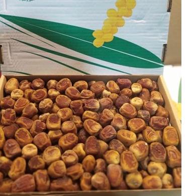 

➳ kurma SUKARI 3 KG ✵