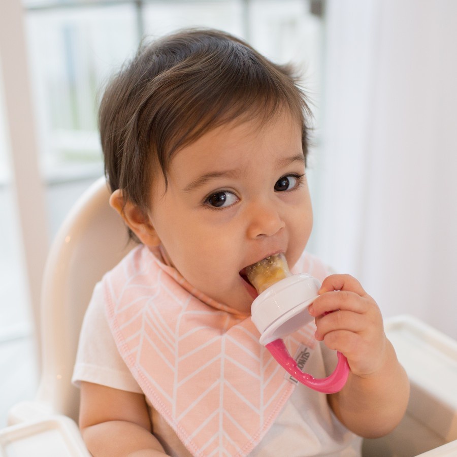 Dr Browns Fresh Firsts Silicone Feeder
