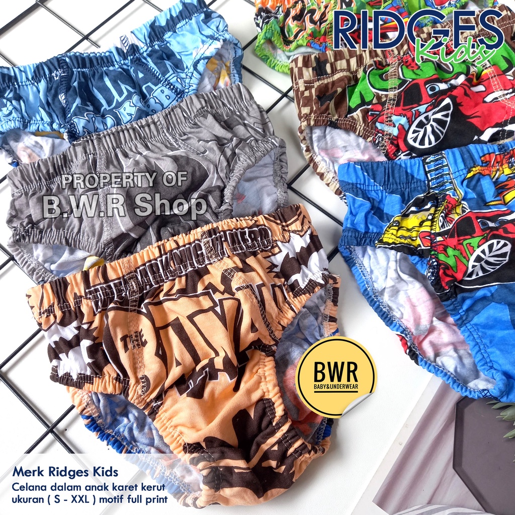 [ 3pc ] CD Ridges Kids / Celana Dalam Anak Karakter Superhero Boy's Brief Karet Kerut | Bwr