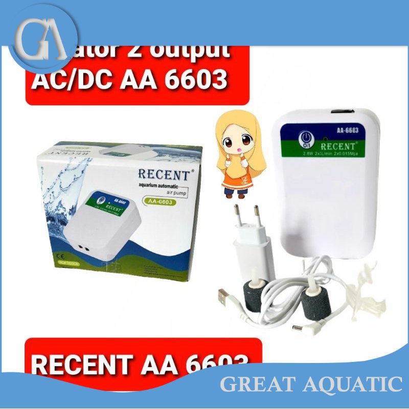 aerator AC DC 2 output recent AA 6603 pompa udara AC DC