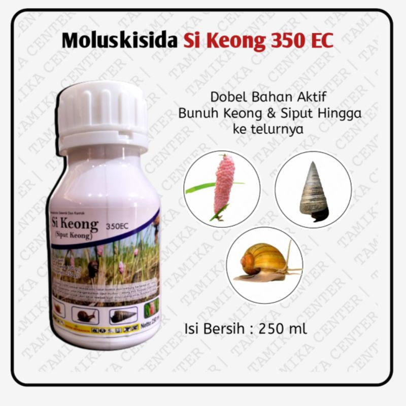 SI KEONG | MOLUSKISIDA SISTEMIK DAN KONTAK | OBAT KEONG SAWAH | OBAT SIPUT TAMBAK