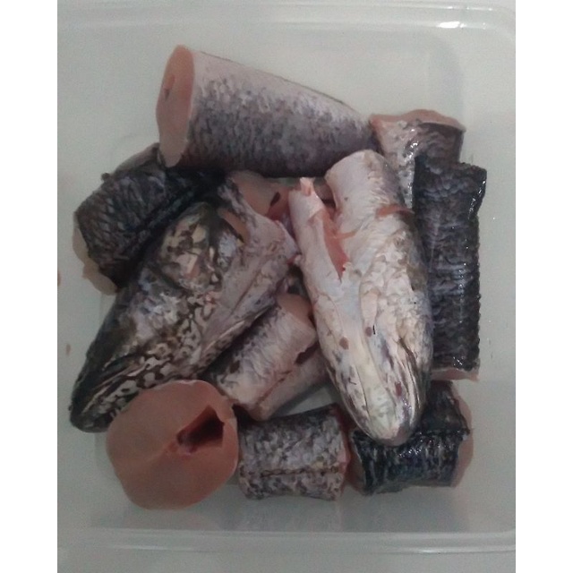 

Ikan gabus potong 250gr