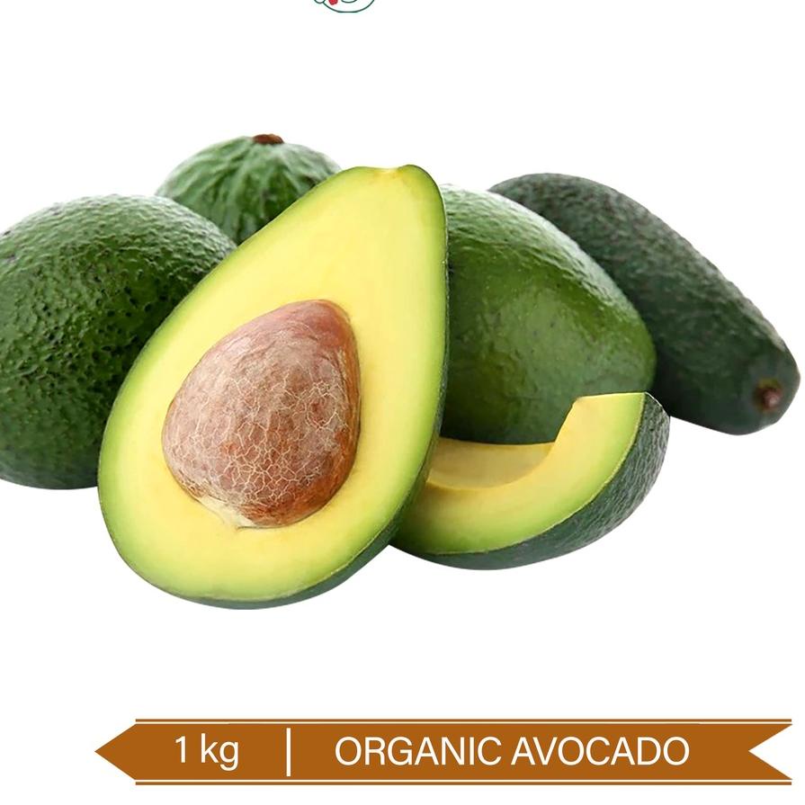 

♣ Buah Alpukat Oganik / Organic Avocado 1kg ●