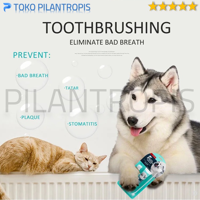 SIKAT GIGI KUCING DAN ODOL KUCING ANJING PASTA GIGI KUCING ANJING 1 SET PET TOOTHBRUSH DENTAL GEL