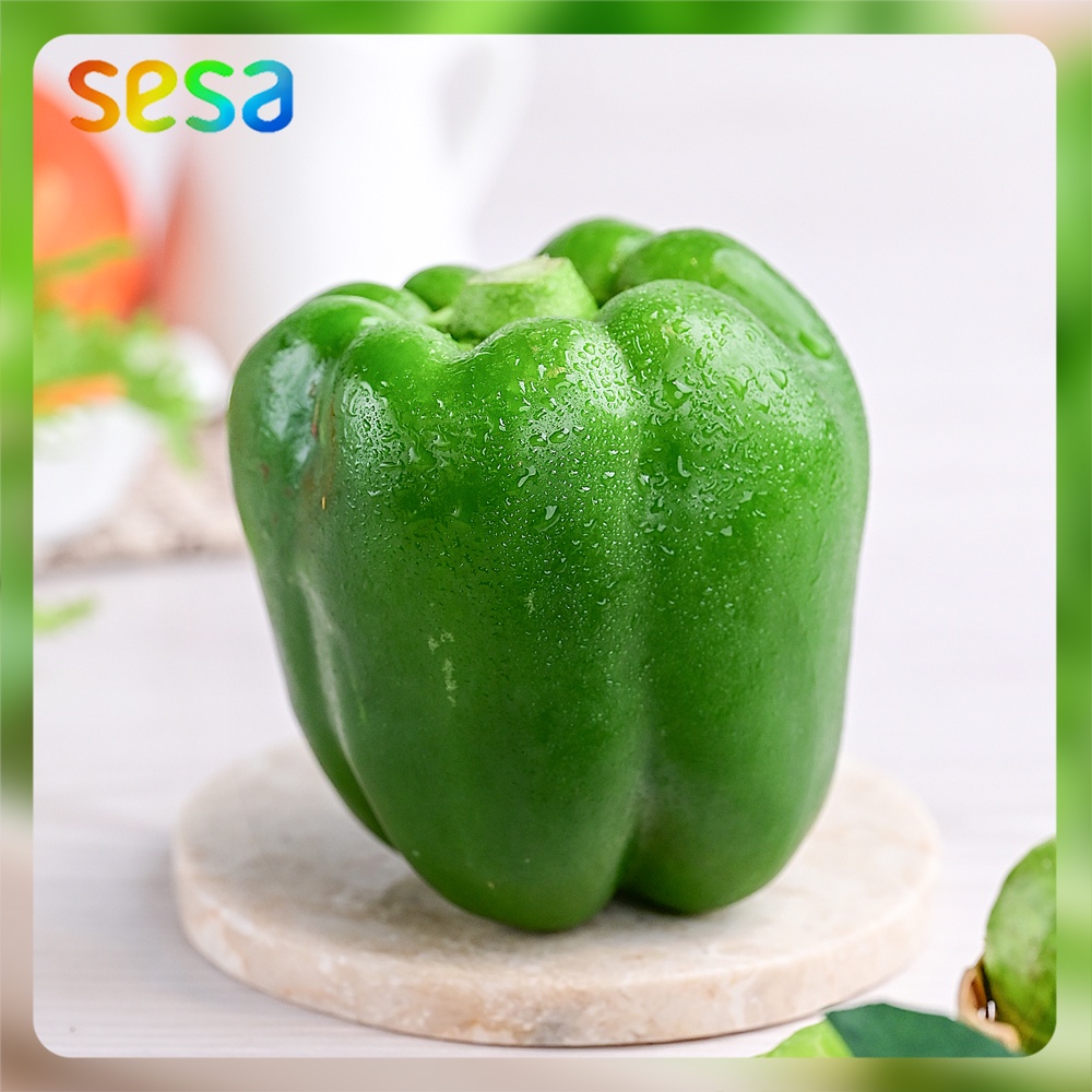 

PAPRIKA Hijau Natural 150 - 200gr - Sayuran Sehat Segar