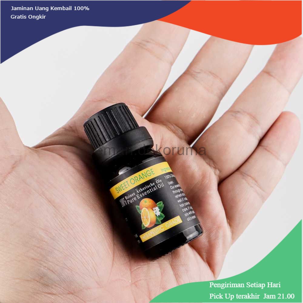 TD - DEK Gzoliya Essential Oils Minyak Aromatherapy Diffusers 10ml 6 PCS - YLS20