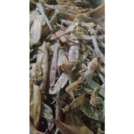 

cumi kering per kg