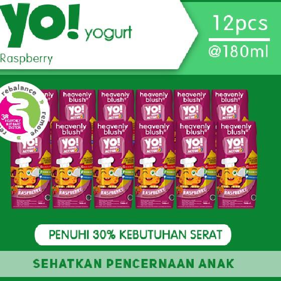 

➧ Yogurt Heavenly Blush YO! Raspberry Pumpkin [12 x 180 ml] ✪