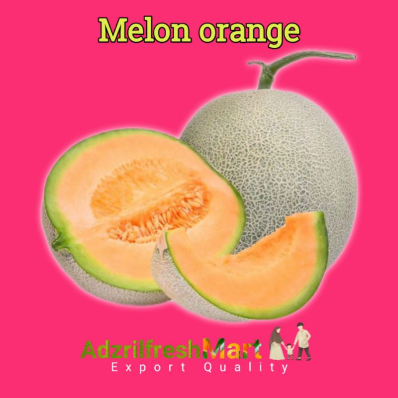 

BUAH MELON ROCK/MELON OREN SIZE 1,5 - 2KG PER BUAH