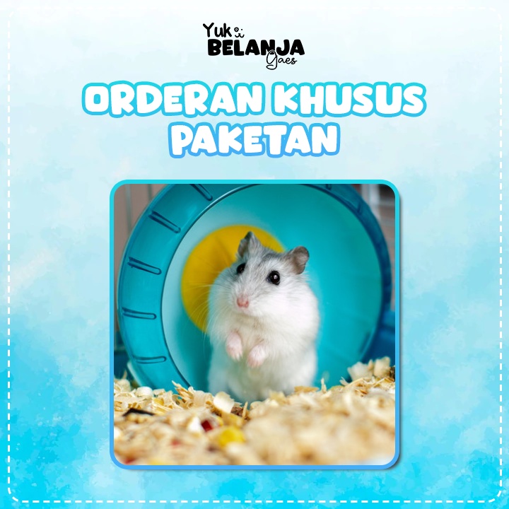 Baju Khusus Hamster Lusinan