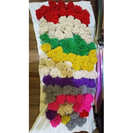 Grosir putik plastik/putik sari/putik bunga/putik biasa Murah.