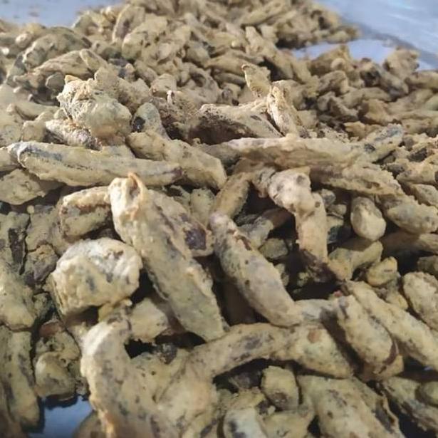 

O34 [1000 Gr] SALE PISANG BARLIN PREMIUM KHAS BANYUWANGI TERMURAH SIAP KIRIM ☮