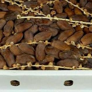 

❊ Kurma fruit Tunisia tangkai ukuran 1kg exp2024 ➸