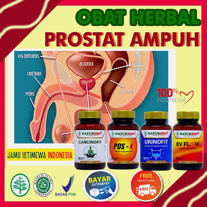 Obat Prostat Paling Ampuh Obat Prostat Ampuh Obat Prostat Herbal Obat Prostat Cina Obat Prostat Herb