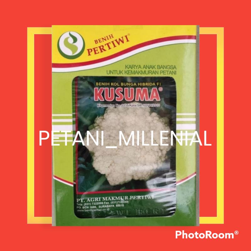 TERLARIS Benih Kol Bunga Hibrida F1 KUSUMA 10 gr isi kurang lebih 2200 biji