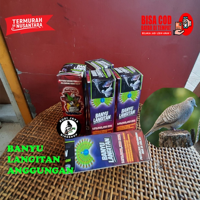 READY BANYU LANGITAN BANYU LANGIT BANYULANGITAN MERAH STRONG VITAMIN DOPING SEMUA BURUNG TRUCUK