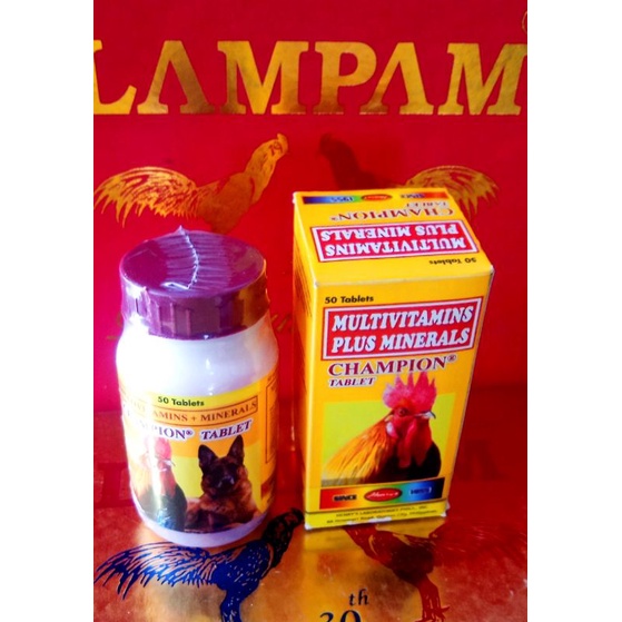 New Champion Multivitamin Obat Ayam Aduan