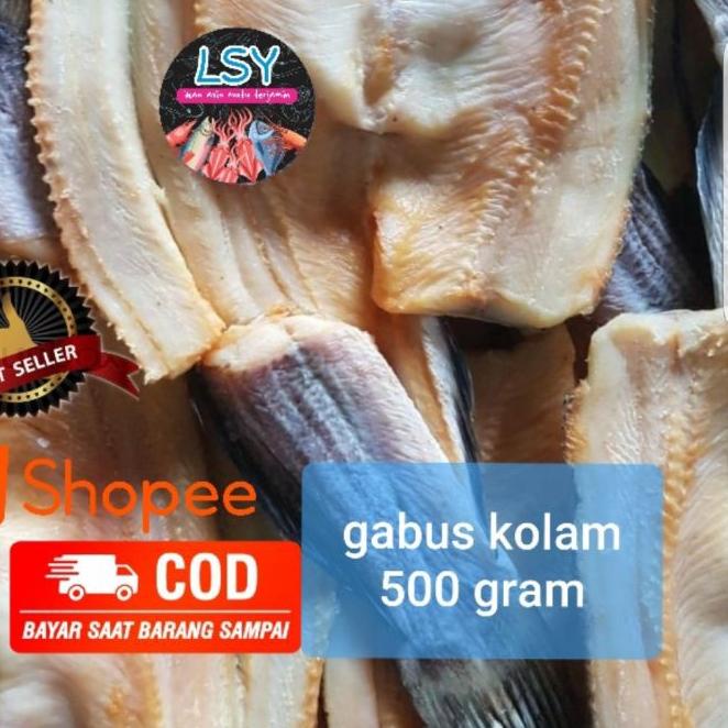 

☈ ikan asin gabus kolam size besar 500gr ✸