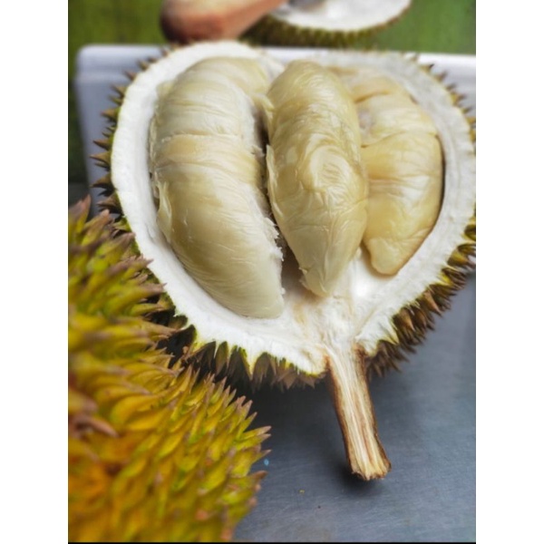 

Durian Medan