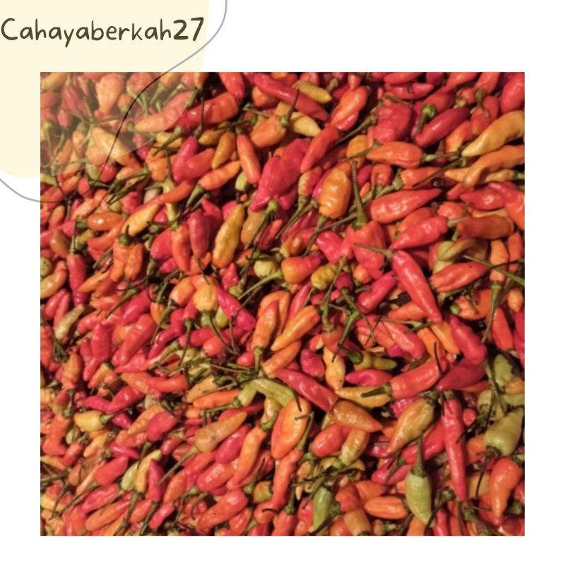 

Cabe Rawit Merah per 1Kg