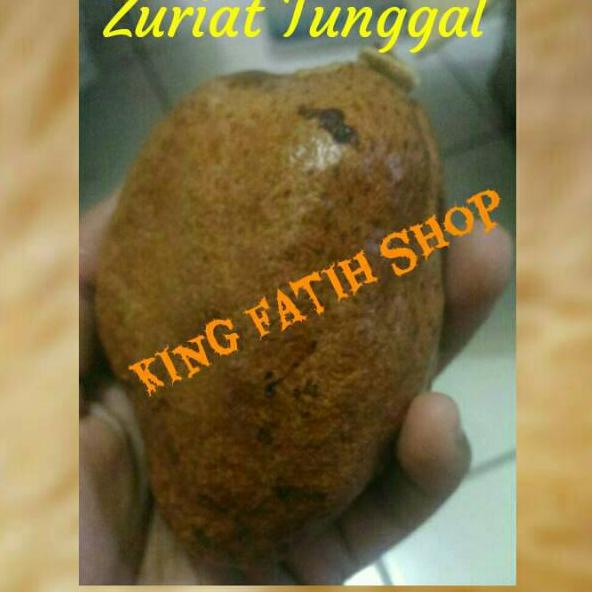 

✵ Buah Zuriat Tunggal Mesir 1 Kg (Untuk dan Penurun Darah Tinggi) ♢