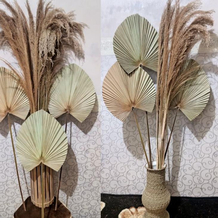 Lebih Ekonomis daun kering dekorasi paket daun palem+pampas bulu