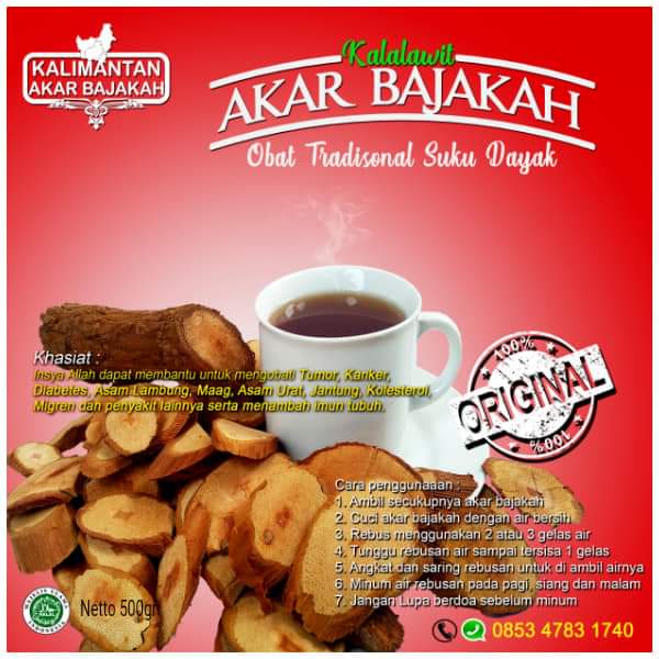 

TEH BAJAKAH ASLI KALIMANTAN ORIGINAL AKAR KAYU BAJAKAH ASLI KALIMANTAN