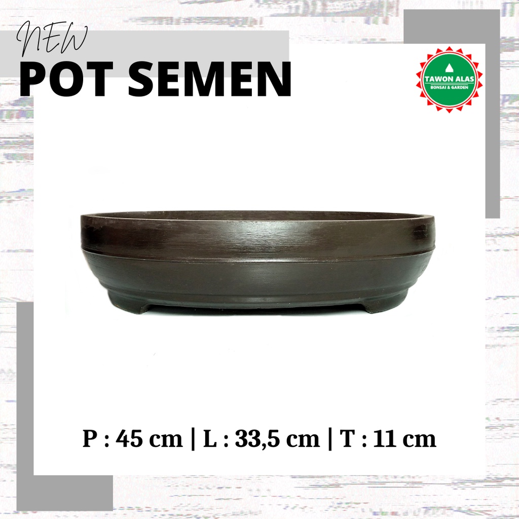 Pot Bonsai Semen Oval Small Medium