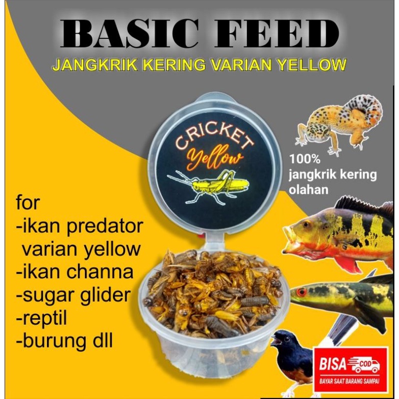 jangkrik kering yellow BASIC FEED 15gr | makanan ikan predator | pakan channa