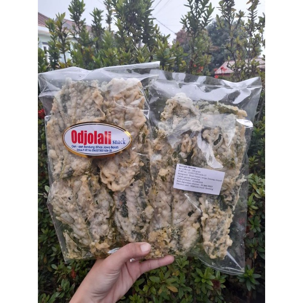 

KERIPIK BAYAM