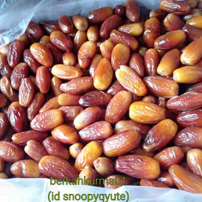 

۞ Kurma tunisia 1kg tanpa tangkai fresh kualitas super ♩