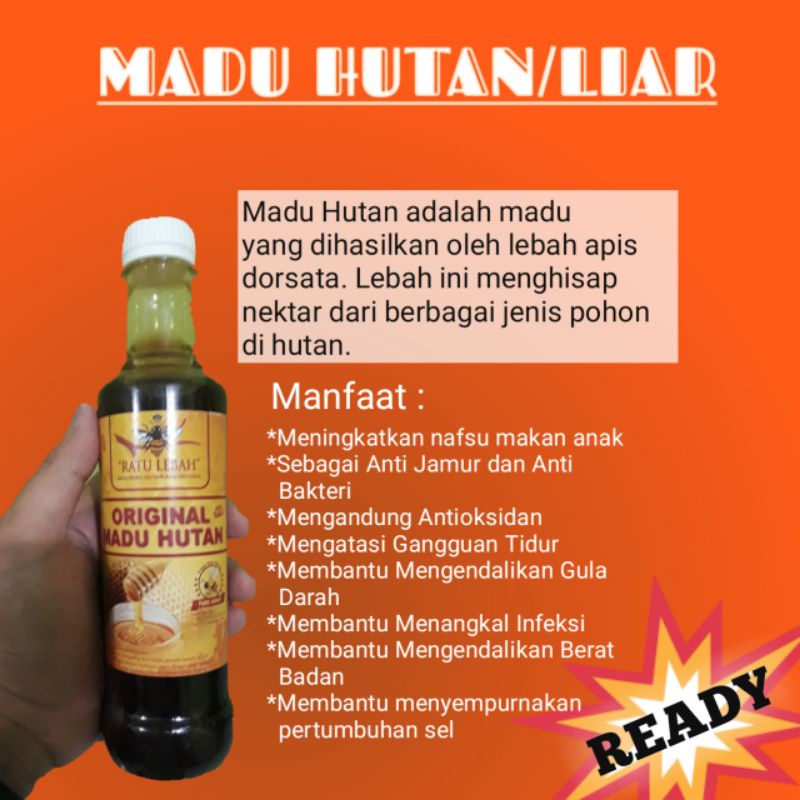 

Madu Hutan / Liar 350 ml