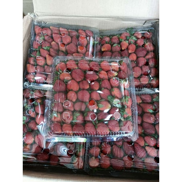 

STRAWBERRY FRESH BOX