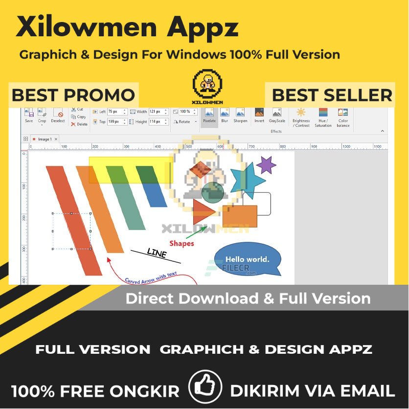 [Full Version] PicPick Professional 7.1.0 Pro Design Graphics Lifetime Win OS