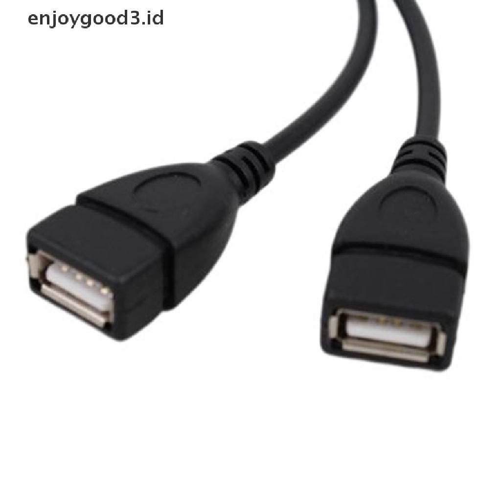 【 Rready Stock 】 2 In 1 Usb2.0 Extension Cable Female To Dual USB Male Data Cable Y Splitter USB Adapter Charging Cable For Hard Disk Network Card Connection （ ID ）