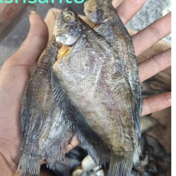 

♧ ikan asin sepat medan-500gram ✈