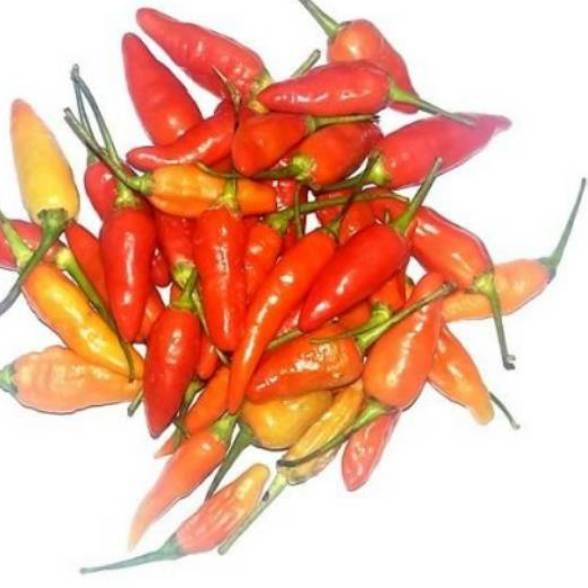 

♣ Cabe / cabai rawit merah - 500gram ֍