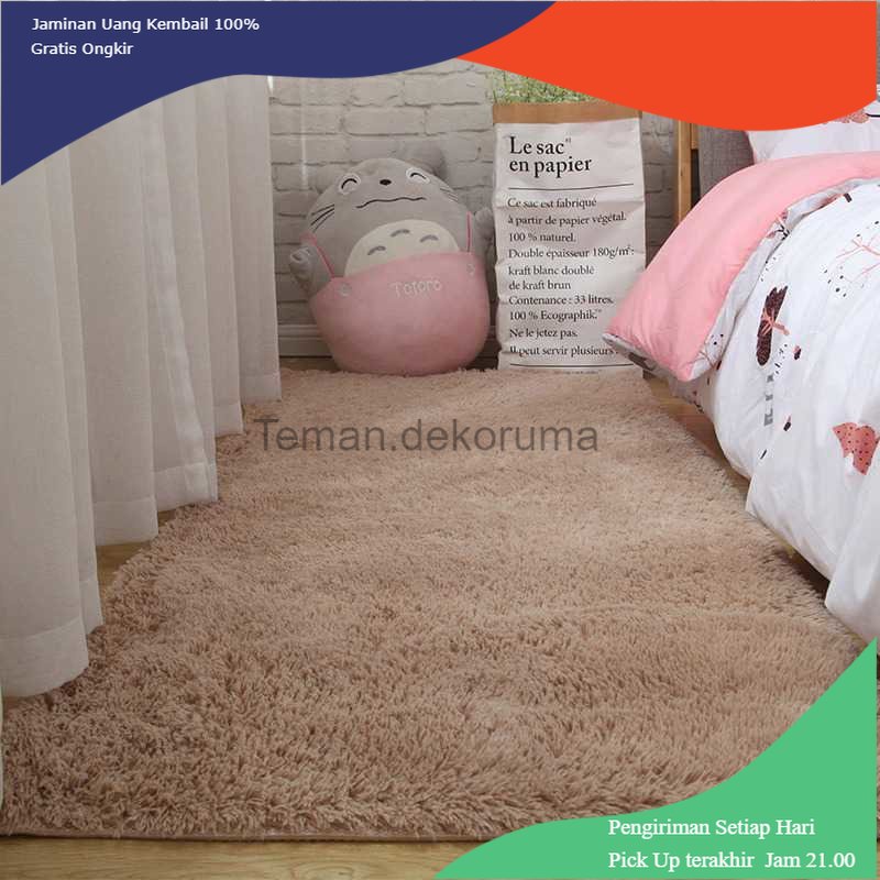 TD - DPR DRESHOME Karpet Matras Bulu Non-Slip Living Room Rug 60x120cm - DE2002