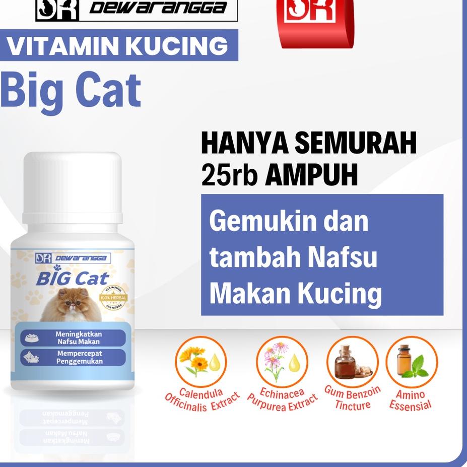 ✨BIG SALE✨ Vitamin Kucing BIG CAT Dewarangga - Vitamin Nafsu Makan dan Penggemuk Kucing -  Vitamin K