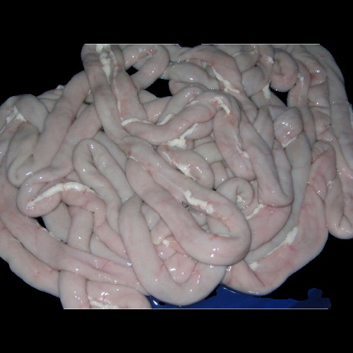 

Usus Sapi Bandung